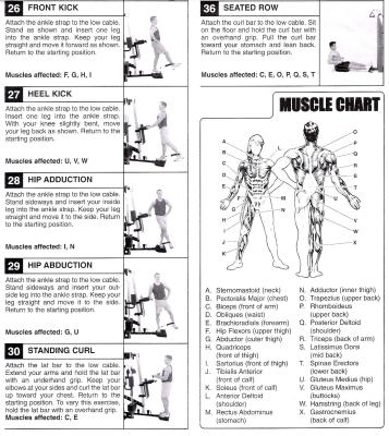 Gold S Gym Xrs 50 Exercise Chart Pdf