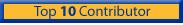 Top 10 Contributor